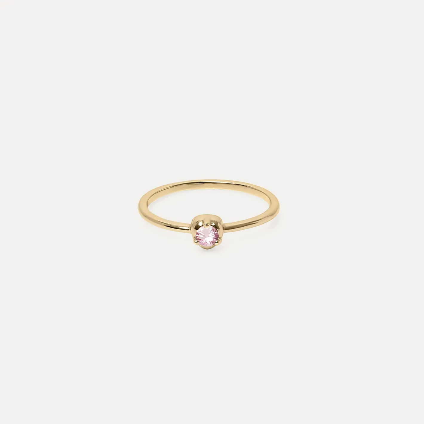 Shop STILNEST Mini Birthstone Ring | 585 Gold